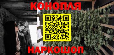 молекула духа Славгород