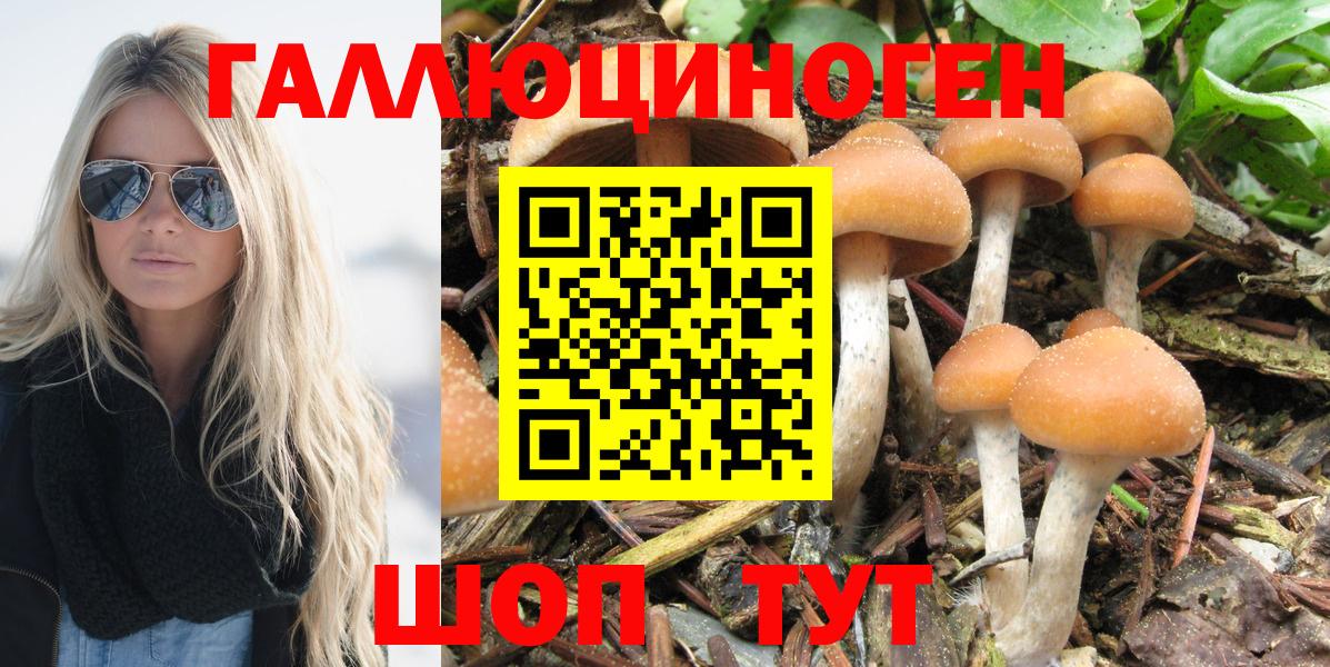 Псилоцибиновые грибы прущие грибы  Вход с VPN  Псилоцибиновые грибы MAGIC MUSHROOMS  Ногинск 