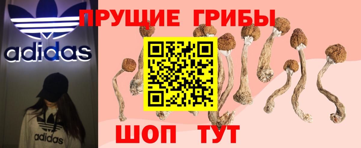 Псилоцибиновые грибы мухоморы Ногинск